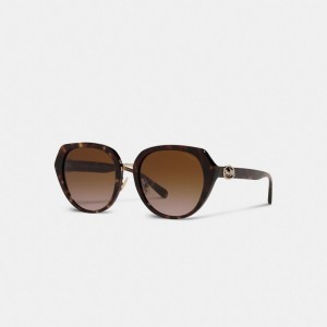 Black Coach Horse And Carriage Oversized Round Women Sunglasses | PH_CH49125