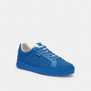 Blue Coach Lowline Low Top In Signature Canvasberry Men Sneakers | PH_CH22365