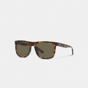 Brown Coach Beveled Signature Flat Top Square Men Sunglasses | PH_CH70774