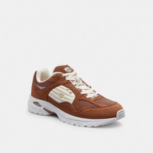 Brown Coach C301 Men Sneakers | PH_CH54839