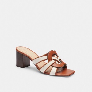 Brown Coach Nikki Chalk Burnished Amber Women Sandals | PH_CH36336