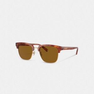 Brown Coach Retro Men Sunglasses | PH_CH50411