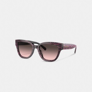 Brown Coach Signature Round Ruby Pearlized Signature Women Sunglasses | PH_CH46849