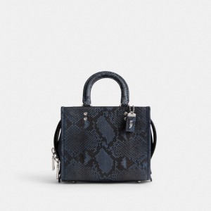 Dark Blue Coach Rogue 20 In Python Women Handbag | PH_CH75384