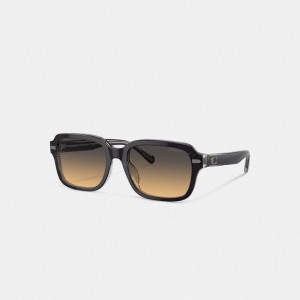 Dark Grey Coach Beveled Signature Square Men Sunglasses | PH_CH48324