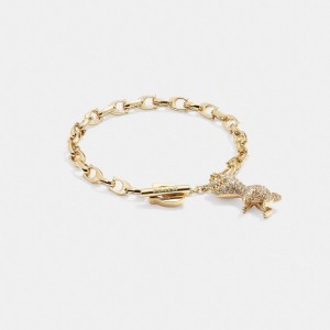 Gold Coach Pavé Rexy Signature Chain Women Bracelets | PH_CH59156