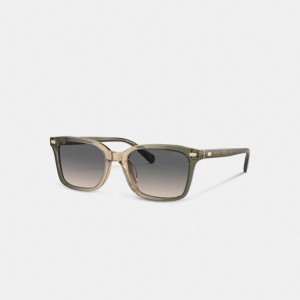 Green / Brown Coach Narrow Square Men Sunglasses | PH_CH29593