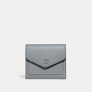 Grey Blue Coach Wyn Leather Women Small Wallets | PH_CH54668