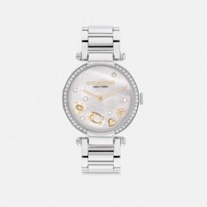 Grey Coach Cary 34 Mm Stainless Steel Women Watches | PH_CH54842