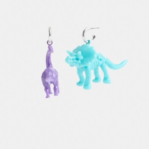 Multicolor Coach Dinosaur Mismatch Women Earrings | PH_CH58316