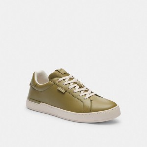 Olive Coach Lowline Low Top Moss Men Sneakers | PH_CH86229