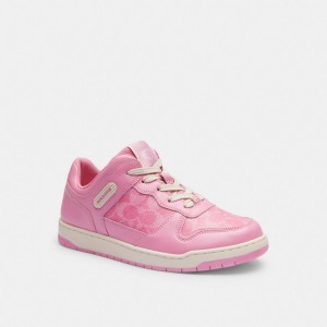 Pink Coach C201 Low Top In Signature Canvas Vivid Women Sneakers | PH_CH42151