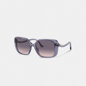 Purple Coach Swoop Temple Rectangle Transparent Women Sunglasses | PH_CH53877