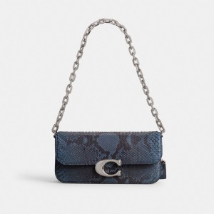 Silver / Blue Coach Idol 23 In Python Women Shoulder Bags | PH_CH31734