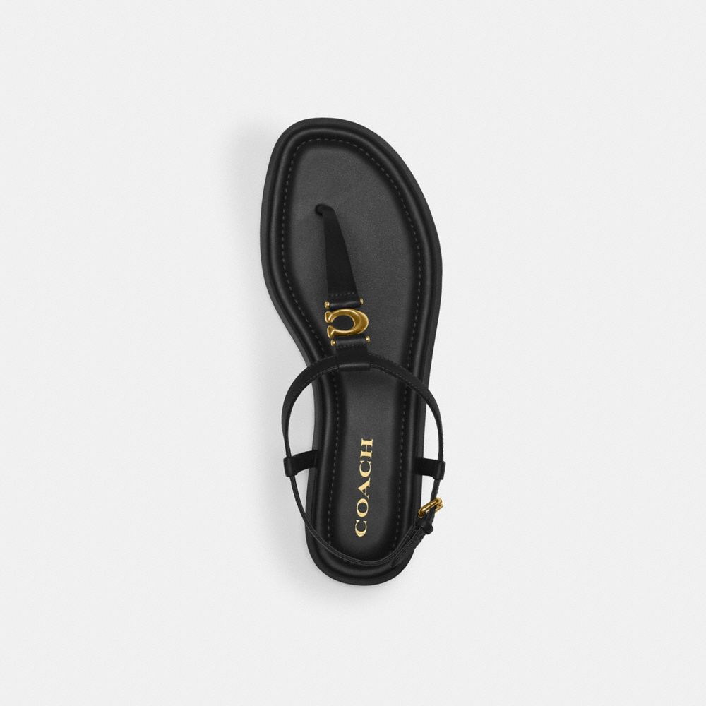 Black Coach Jessica Women Sandals | PH_CH53704