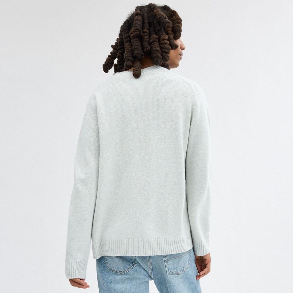 Blue Coach Narrow Men Sweaters | PH_CH75501