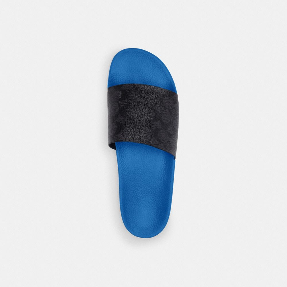 Blue Coach Slideberry Men Sandals | PH_CH85373