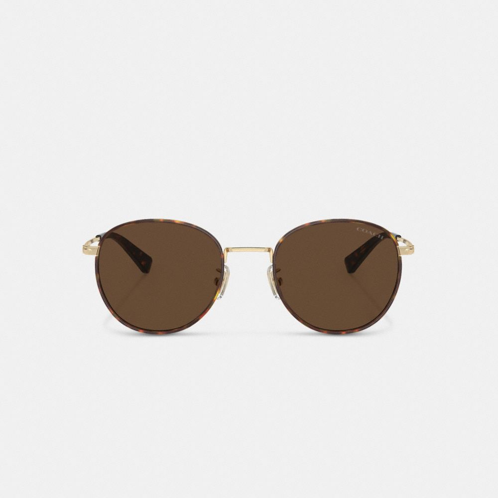 Brown / Gold Coach Metal Windsor Round Men Sunglasses | PH_CH35830