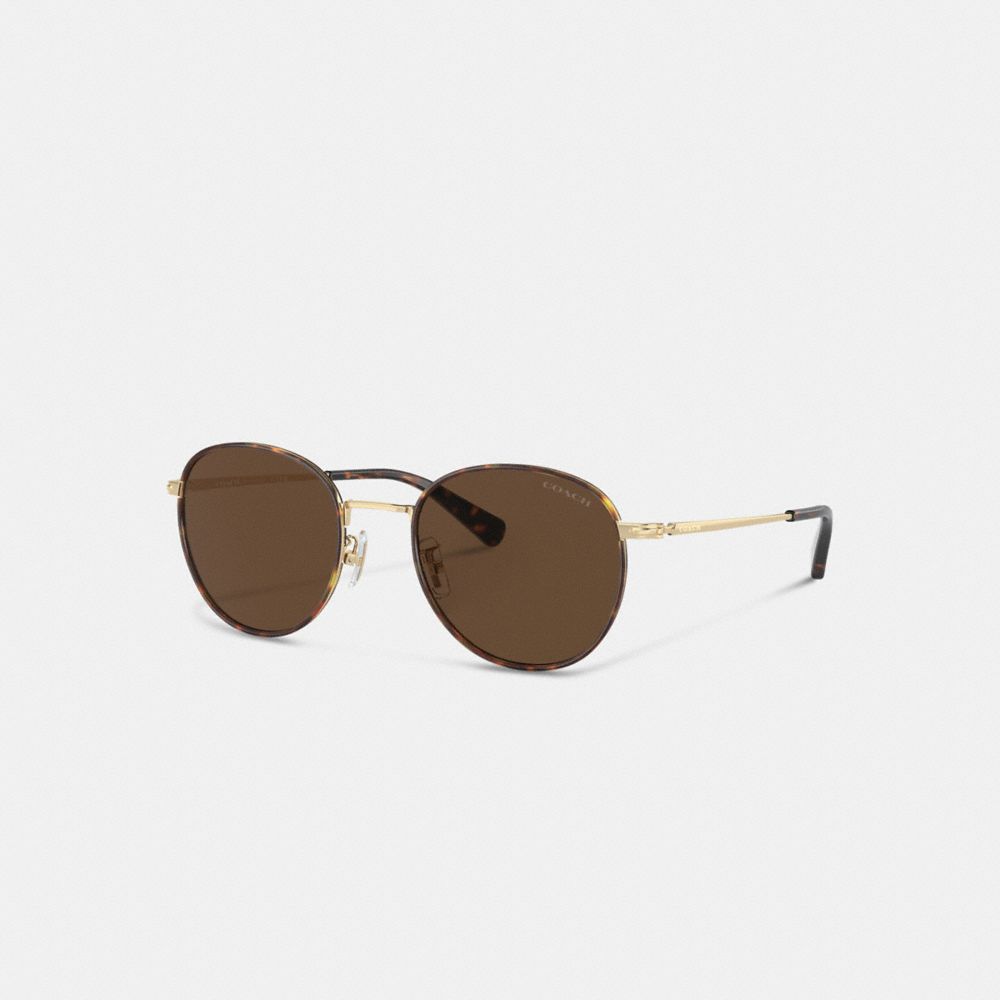 Brown / Gold Coach Metal Windsor Round Men Sunglasses | PH_CH35830