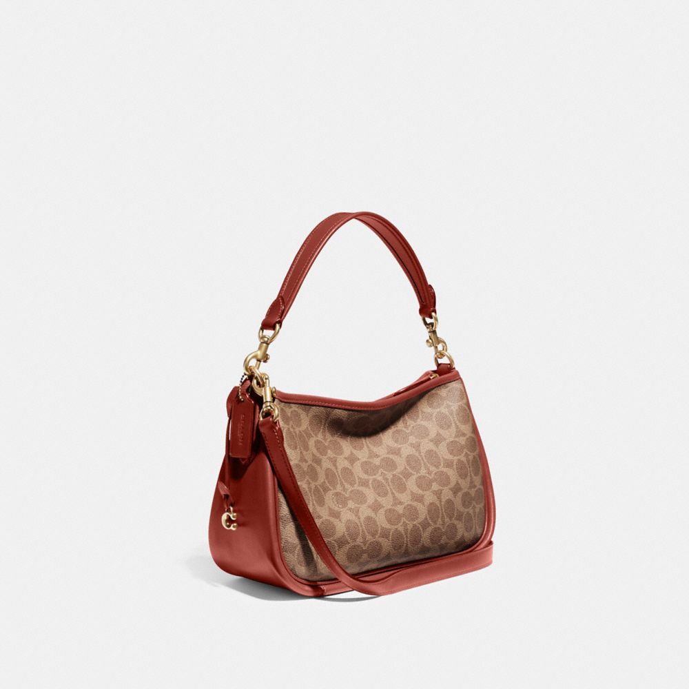 Brown / Red Coach Cary In Signature Women Crossbody Bags | PH_CH27326