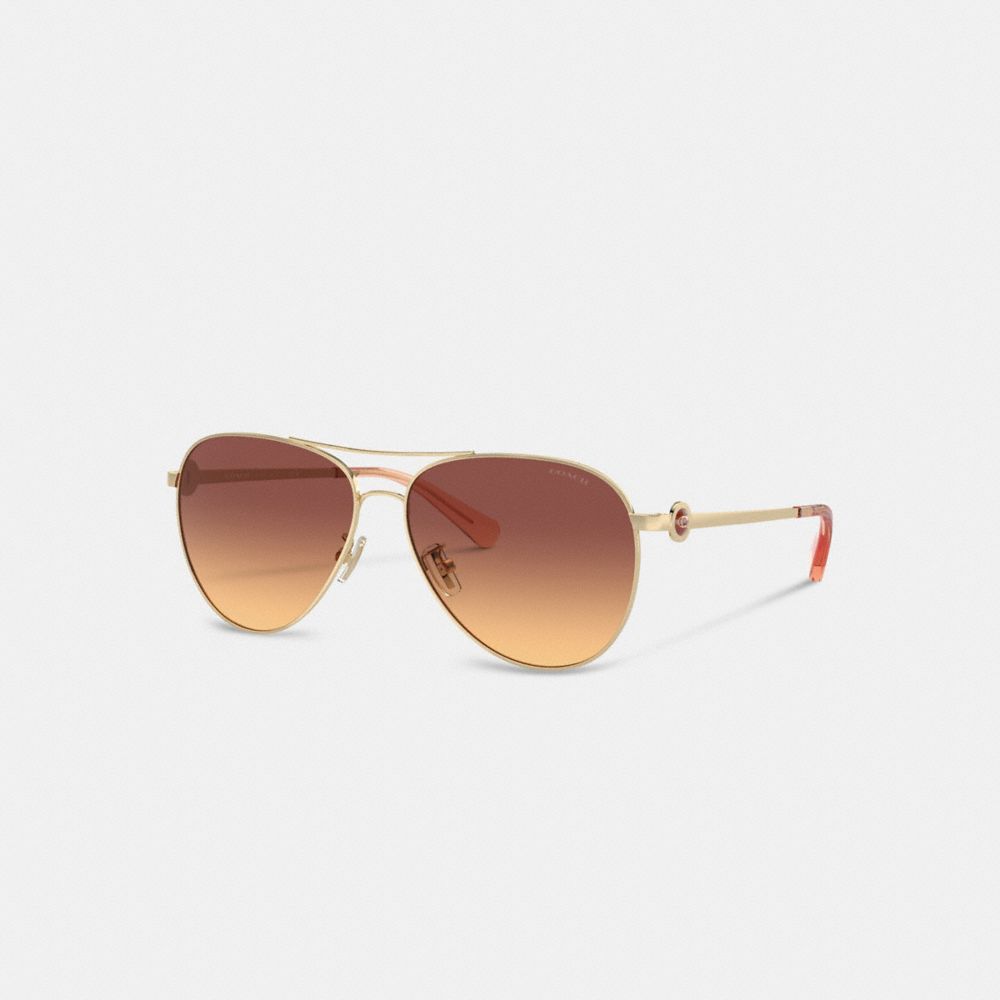 Dark Brown Coach Metal Aviator Women Sunglasses | PH_CH28728