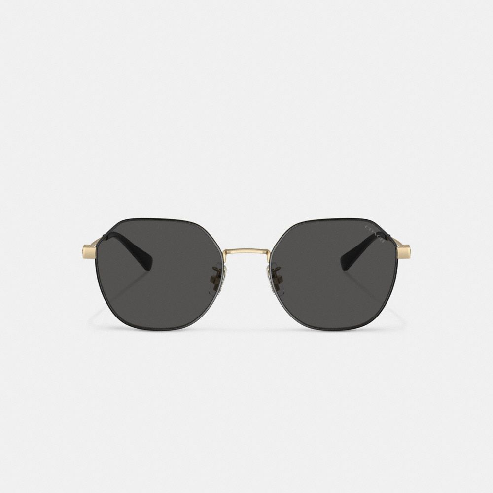 Gold Black Coach Hinged Geometric Round Men Sunglasses | PH_CH48006