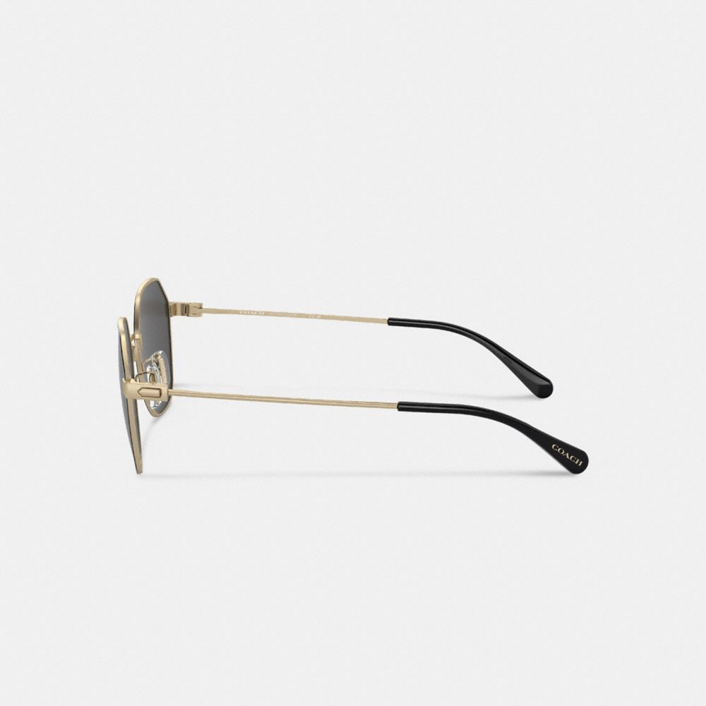 Gold Black Coach Hinged Geometric Round Men Sunglasses | PH_CH48006