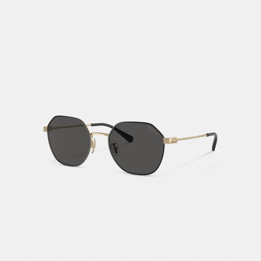 Gold Black Coach Hinged Geometric Round Men Sunglasses | PH_CH48006