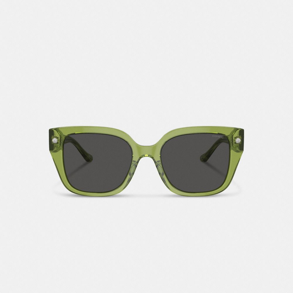 Green Coach Charms Oversized Square Women Sunglasses | PH_CH48497