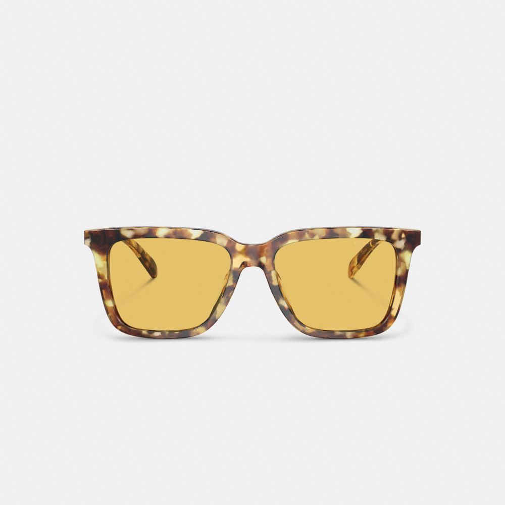 Orange Coach Signature Square Honey Men Sunglasses | PH_CH39180