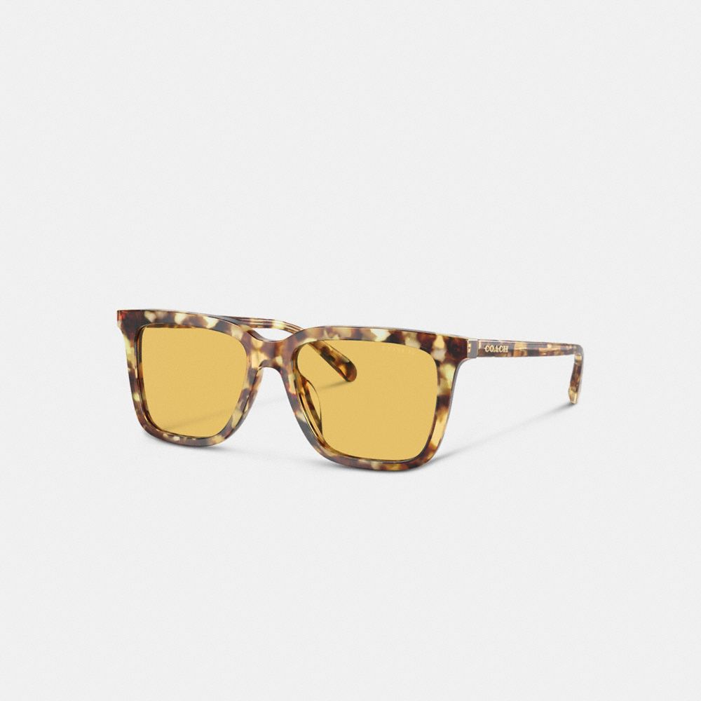 Orange Coach Signature Square Honey Men Sunglasses | PH_CH39180