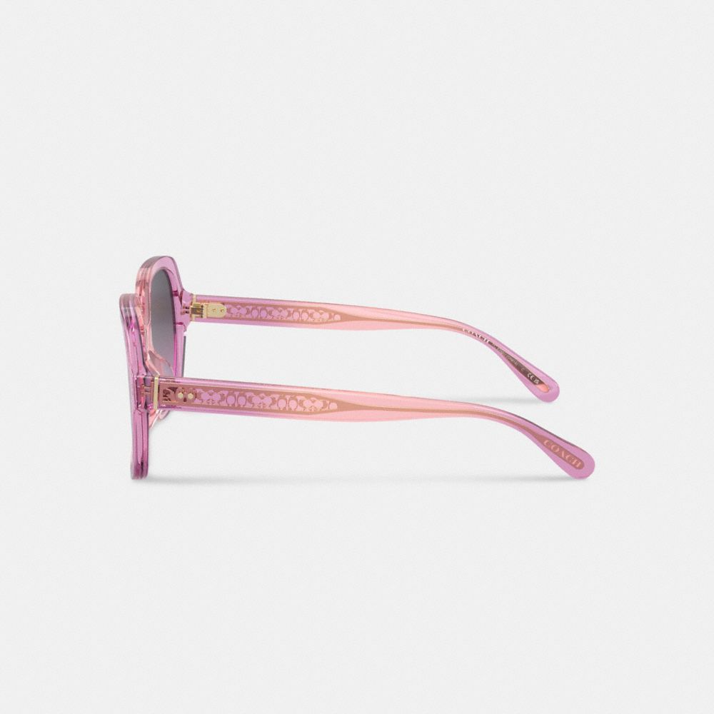 Pink Purple Coach Signature Ombré Oversized Square Women Sunglasses | PH_CH96976