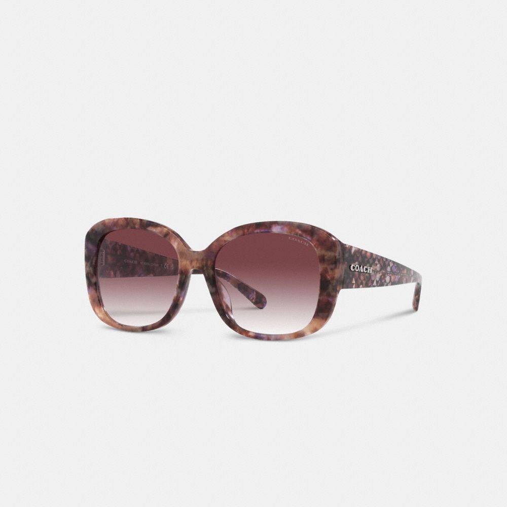 Purple Coach Signature Oversized Square Women Sunglasses | PH_CH49513