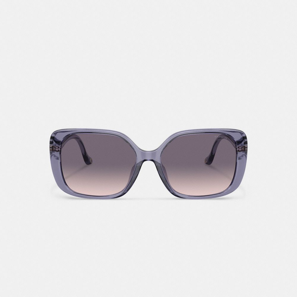 Purple Coach Swoop Temple Rectangle Transparent Women Sunglasses | PH_CH53877