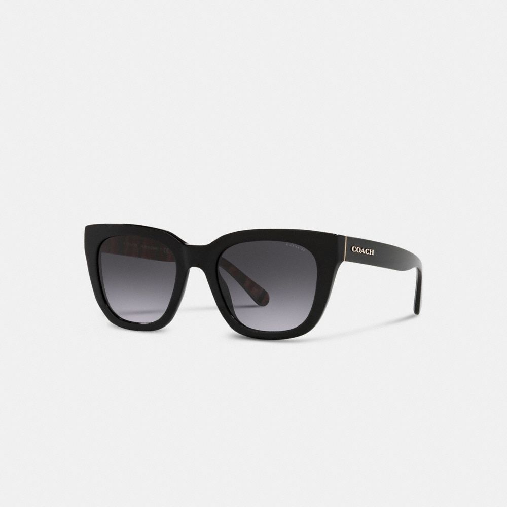 Stripes Black Coach Legacy Stripe Square Women Sunglasses | PH_CH90878